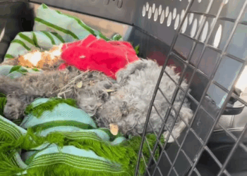 M2010017 Reel by Rescates “un millón como tú” part1