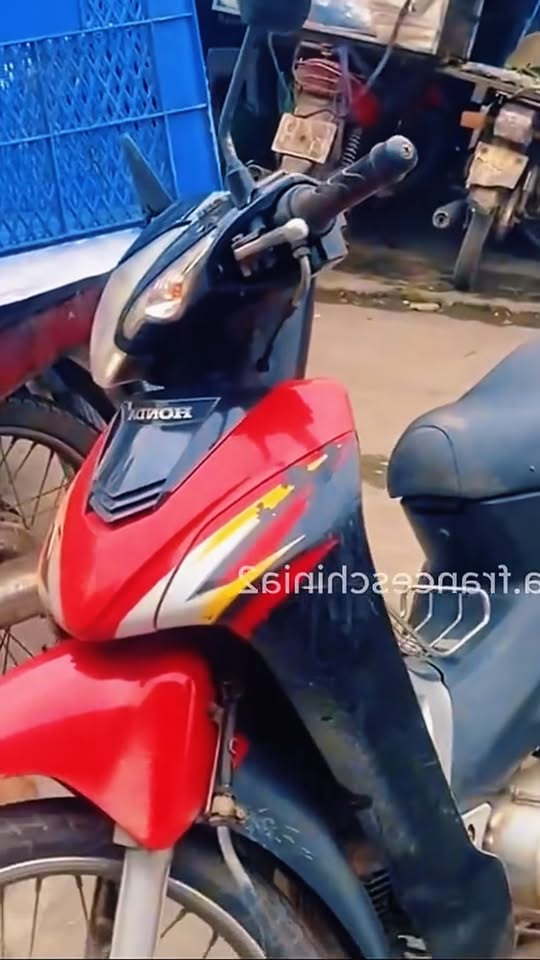 M2210001 This poor dog was paralyzed after being abandoned by its owner part2