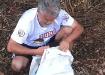 M2210008 #Adote #cao #resgateanimal #adocaodeanimais #foryoupage #pet #fy #animals part2