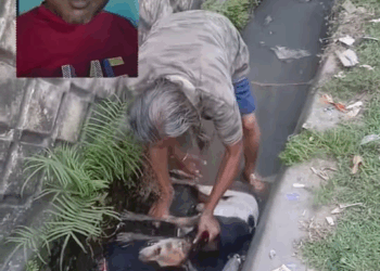 M2210010 Humanity alive part2