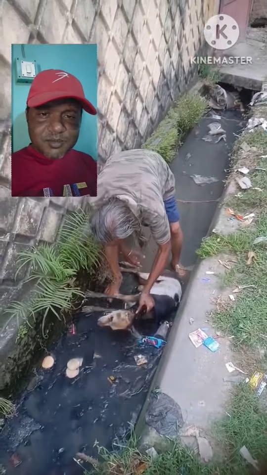 M2210010 Humanity alive part2