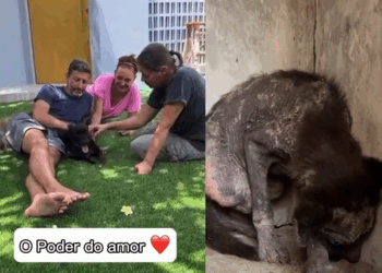 M2210011 “O inferno esta vazio, os demônios estão todos aqui na terra”