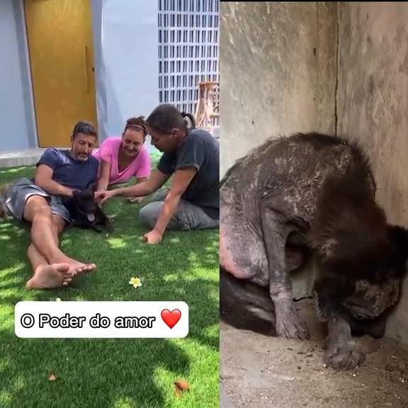 M2210011 “O inferno esta vazio, os demônios estão todos aqui na terra”