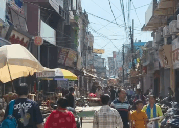 M2210019 Take care of these mute creatures also during Diwali 🙏 BuNty part2