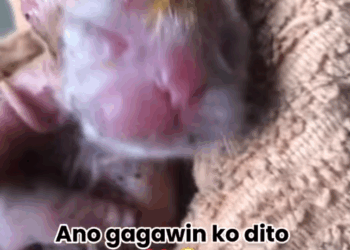 M2410001_Ganito pa naman yung mahirap buhayin_part2