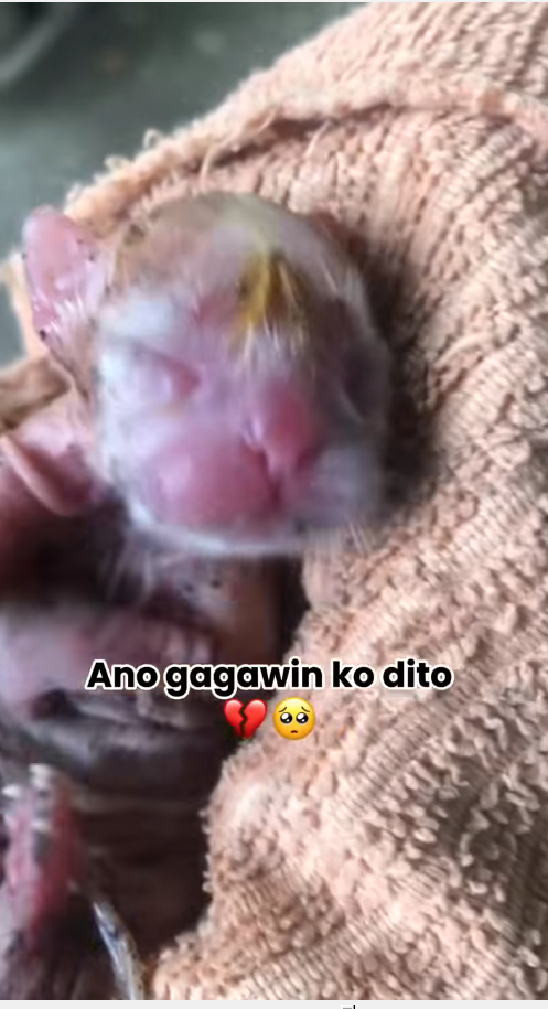 M2410001_Ganito pa naman yung mahirap buhayin_part2