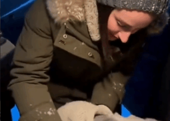 M2410007_Left in the Snow… Found by Love ❤️❄️ . . #CatRescue #WinterStory #RescueCat #AdoptDontShop #HeartTouching _part2