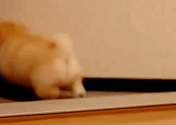 M2410008_#🥰🥰🥰 #❤️❤️❤️ _part2