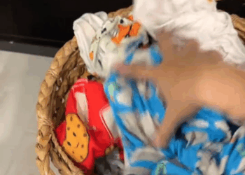 M2510001 I’m not surprised any more by what I come across in Houston