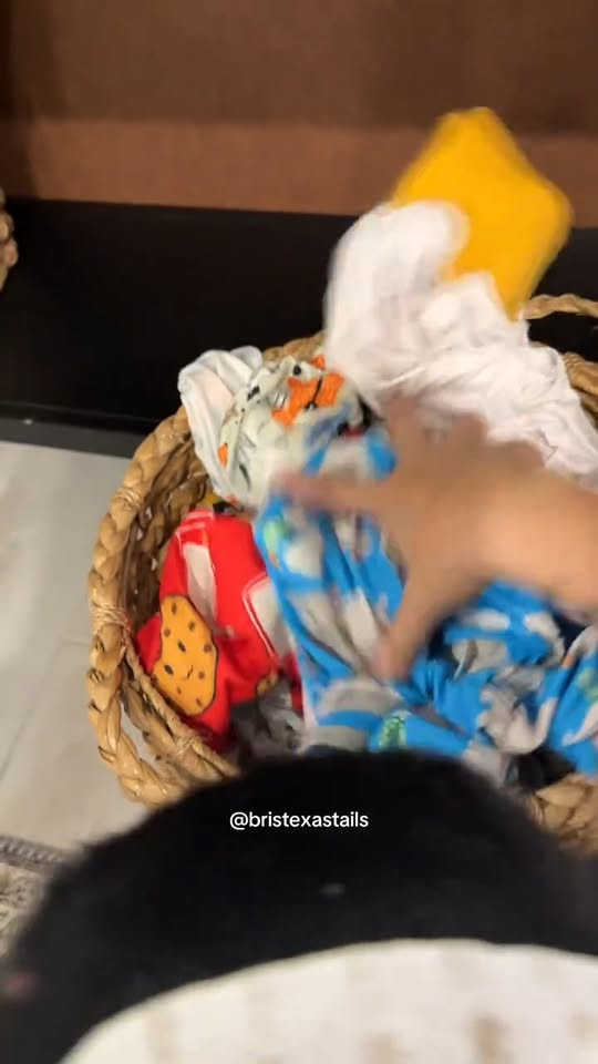 M2510001 I’m not surprised any more by what I come across in Houston