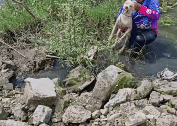 M2510005 akala mo ha,