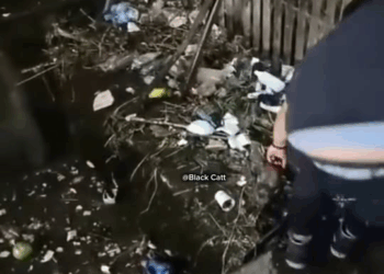 M2510006 Io arrojaron al desague part2