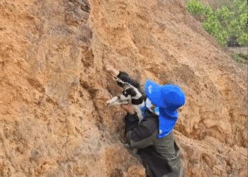 M2610003_Rescue a puppy #animal #animalsoftiktok #animalsoftiktok #rescue #rescueanimals #rescuedog #puppy _part2