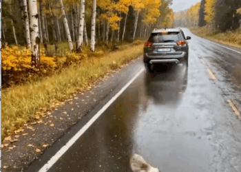 M2610006_No Title_part2