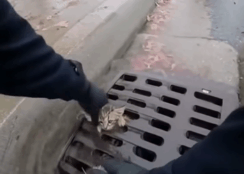 M2610008_🙄🙄🙄_part2