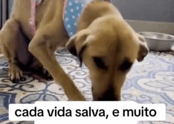 M2710001 No Title part2