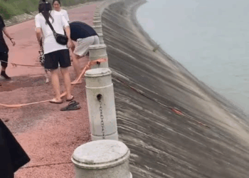 M2710012 Rescue poor dog #pet #fyp #xuhuong #trending #dog #dogsoftiktok #petsoftiktok part2