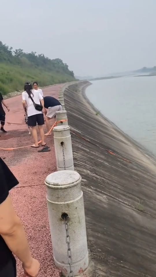 M2710012 Rescue poor dog #pet #fyp #xuhuong #trending #dog #dogsoftiktok #petsoftiktok part2