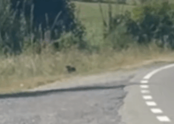 M2710021_He was so afraid and then everything changed ❤️_part2