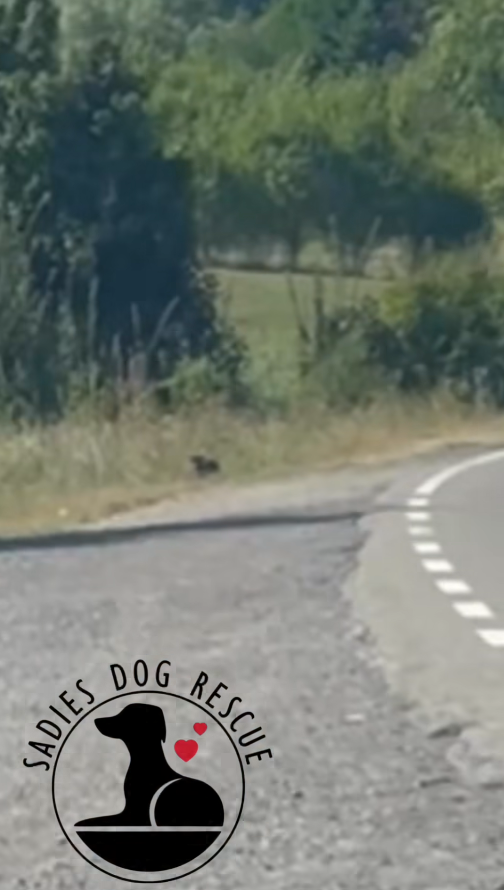 M2710021_He was so afraid and then everything changed ❤️_part2