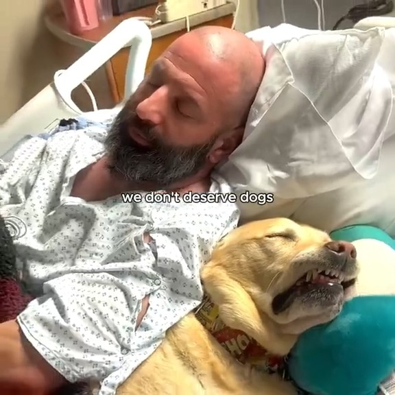 M2910005 we don’t deserve dogs #hopecore #positivity #wholesome #dogs #fyp part2