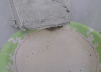 M2910011 Part 2 Animal Control rescues puppies abandoned inside a home some hearts leave scars on what they once called love #trending #animals #rescue part2