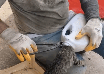 M2910013 Güzel kalpli bir kardeşimiz getirdi biz de kurtardık #hayvansevgisi Topcu Demir part2