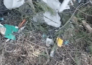 M2910020 Heartbreaking mom & her newborn puppies were thrown away without any mercy