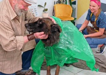 M2910026 animal rescue #animals #dog #life #animalrescue #tiktok trends part2