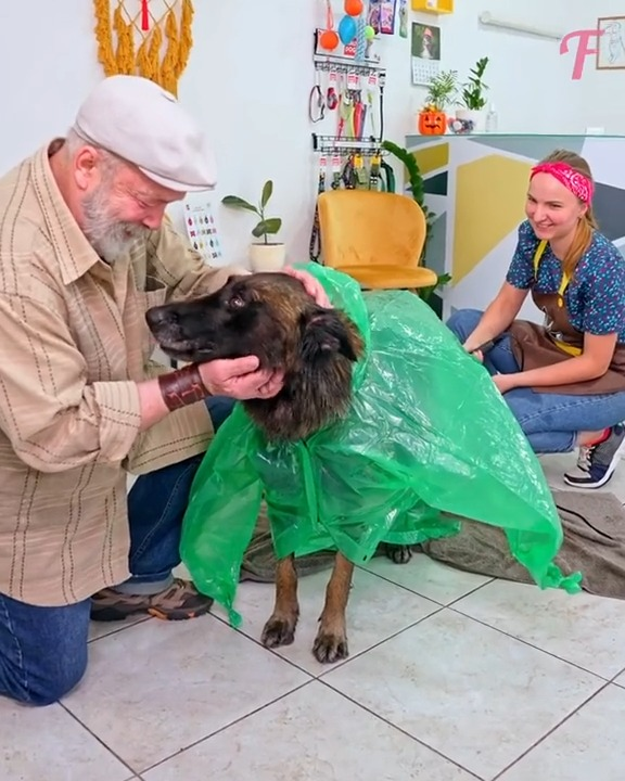 M2910026 animal rescue #animals #dog #life #animalrescue #tiktok trends part2