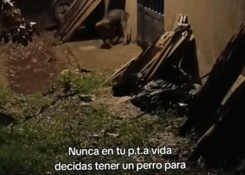 M3110005 This will never be a home, it will never be a family