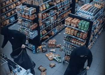 M3110009 The grocery store owner regretted it when he reviewed the security camera #rescue #goldenretriever part2