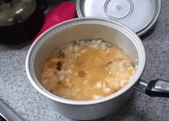 M2010019 Rescues a poor dog strangled by tight collar can’t eat 😥 #dog #dogsoftiktok #rescuedog #puppy #animals #animalsoftiktok #animalrescue part2