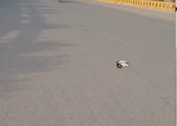 M3010008_Slow down your driving friends, everyone’s life is equal🙏😭_part2