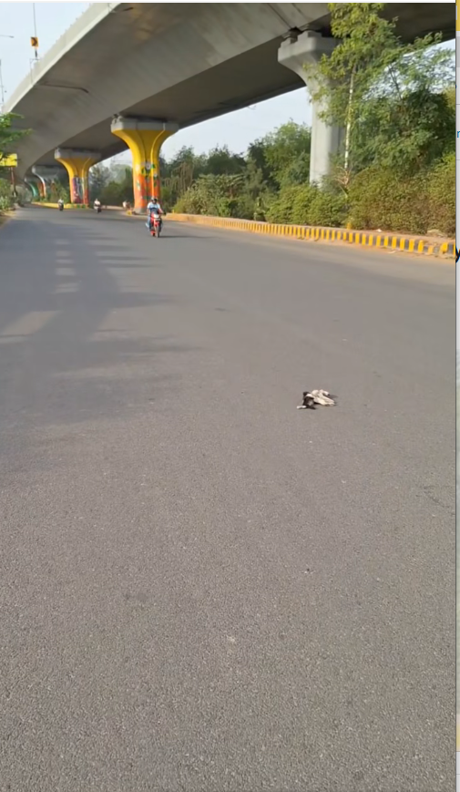 M3010008_Slow down your driving friends, everyone’s life is equal🙏😭_part2