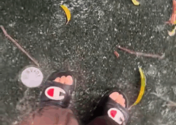 M2010020 Poor cat #cat #catsoftiktok #kitten #animals #animalsoftiktok #animalrescue part2