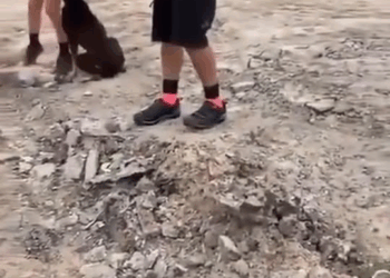 M2010025 El valor de ayudar a quien no puede pedirlo con palabras