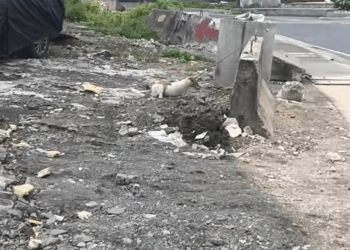 M0501011 Heto na po Ang video init ulan gutom at uhaw Ang nara nasan Ang aso taposin Ang video bago mag react tinanong ko mga part2