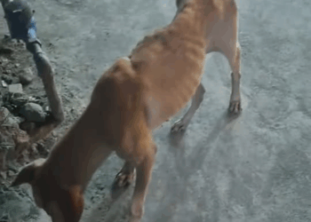 M0501016 Kit4 na ang rìbs😭 #followerseveryonehighlights #highlightseveryone #everyoneシ゚ #followerseveryone #highlightseveryo part2