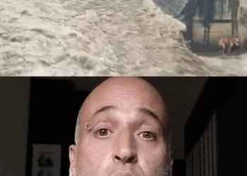 M0501021 El también siente miedo part2