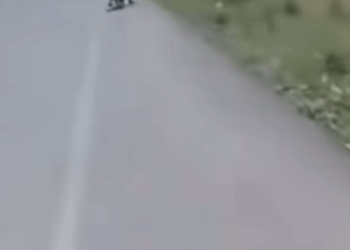 M3010003_ ‼️Adopta con el corazón ♥️‼️ ¿Recuerdan a Taco 💔🐶 Hace tres años, su historia nos rompió el alma su tutor lo arras_part2