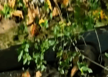 M1511011_She was afraid of whole world, but now she princess of family_part2