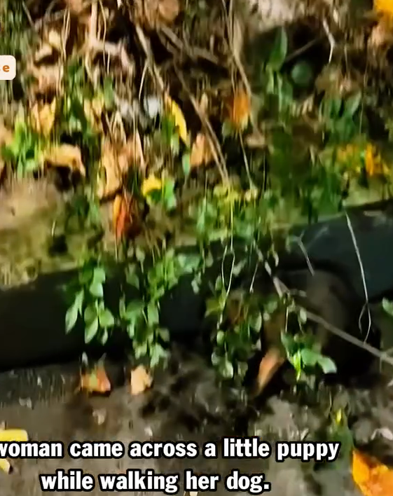 M1511011_She was afraid of whole world, but now she princess of family_part2