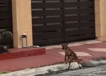 M1511012_Alam ko masaya ka na dyan, Salamat sa maikling panahon Raevin Bonifacio Blogs_part2