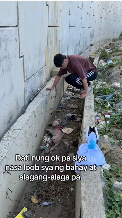 M1511013_Alam niyo sa pagrerescue ko napapatunayan ko na madami din talagang tao na walang pakealam sa mga aso at pusa Raevin Bonifacio Blogs_part2
