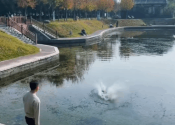 M1511002_poor beagle was thrown into river, rescued him, then……_part2