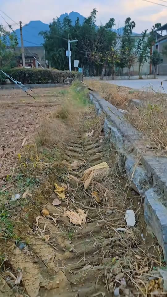 M1811002 found very small white puppy on way, rescued it #rescueanim