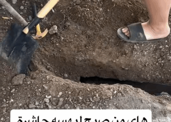 M1811007 #CuteCats #Cat #TheChinesePeopleAreUnbeatable part2