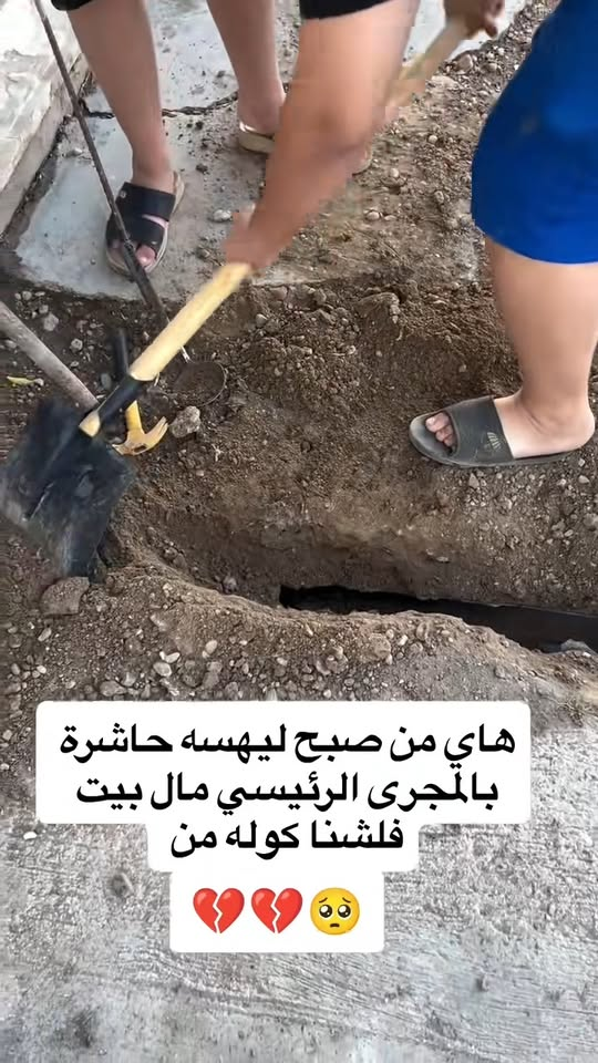 M1811007 #CuteCats #Cat #TheChinesePeopleAreUnbeatable part2