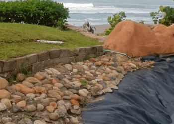 M1811008 #paraty desde Acapulco part2